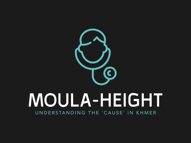 Project “Moula-Height”